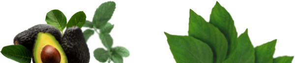 vegi