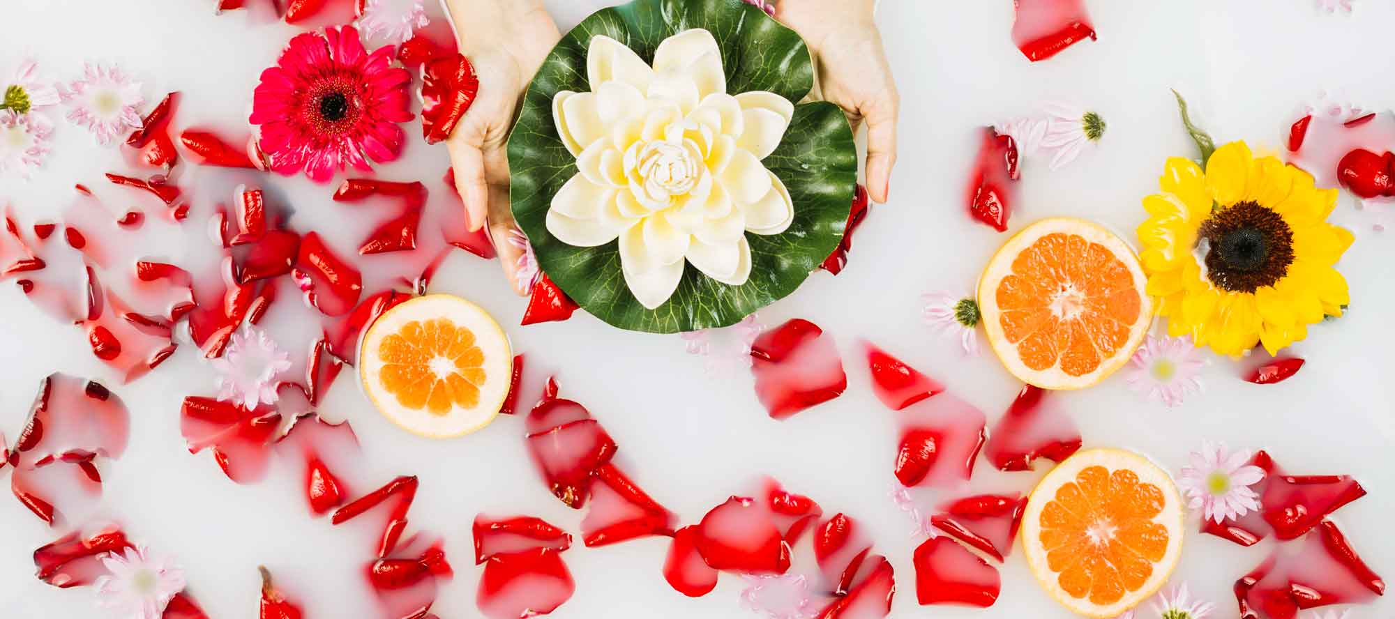 پاکسازی و سم زدایی بدن در فصل بهار با متابالانس و متا دایت